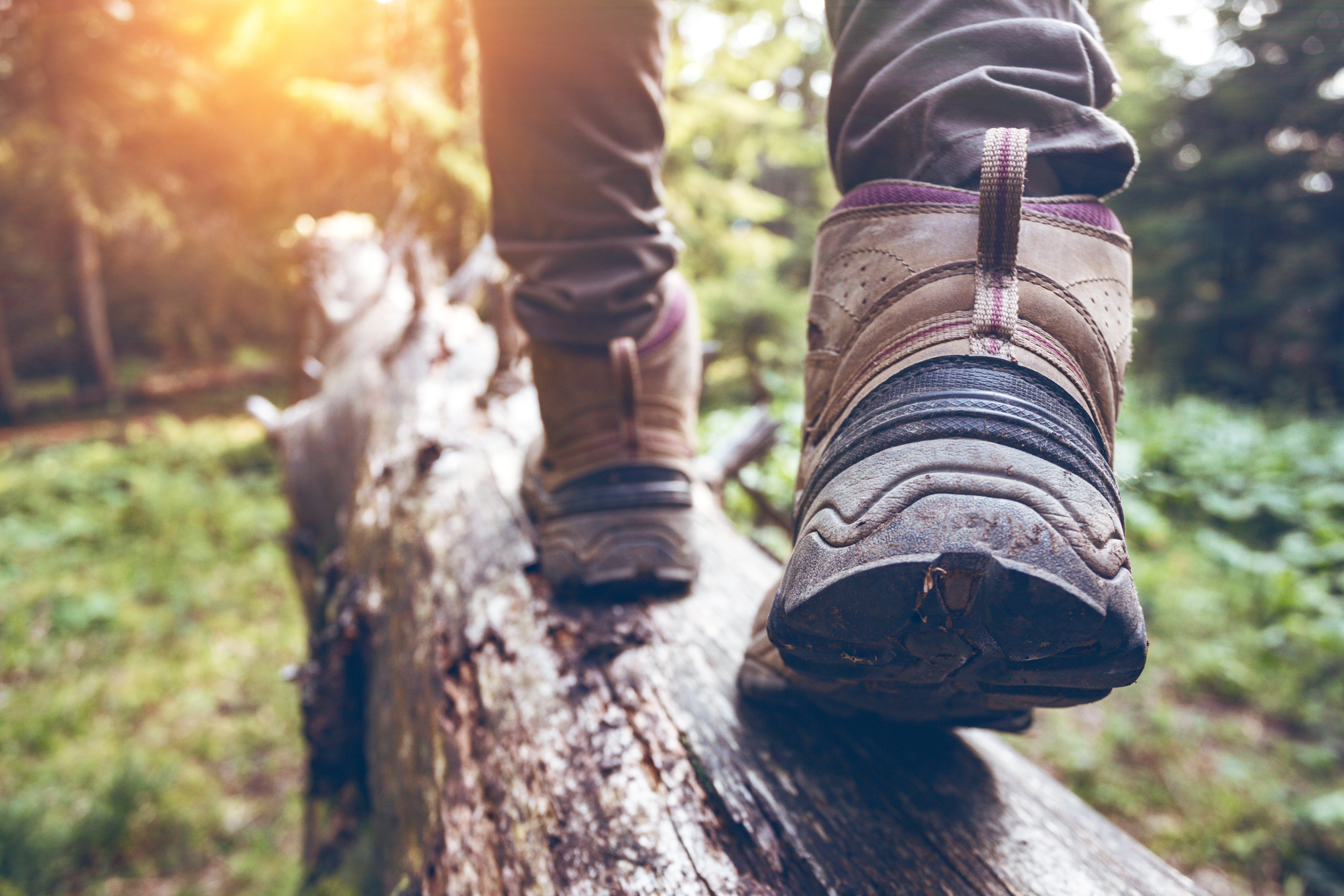 Hiking Boots