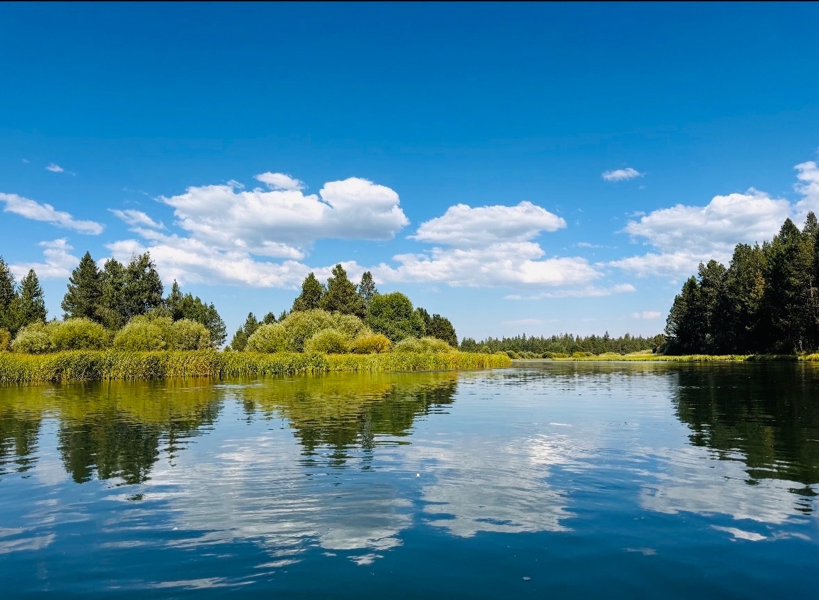 A calm lake with trees and clouds reflected in still water